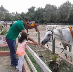 Ayet