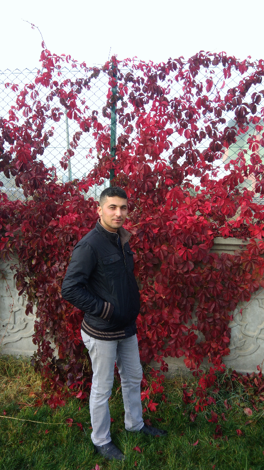 Süleyman