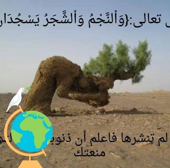 صالح
