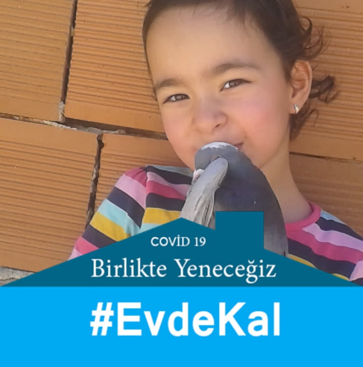 Cemil