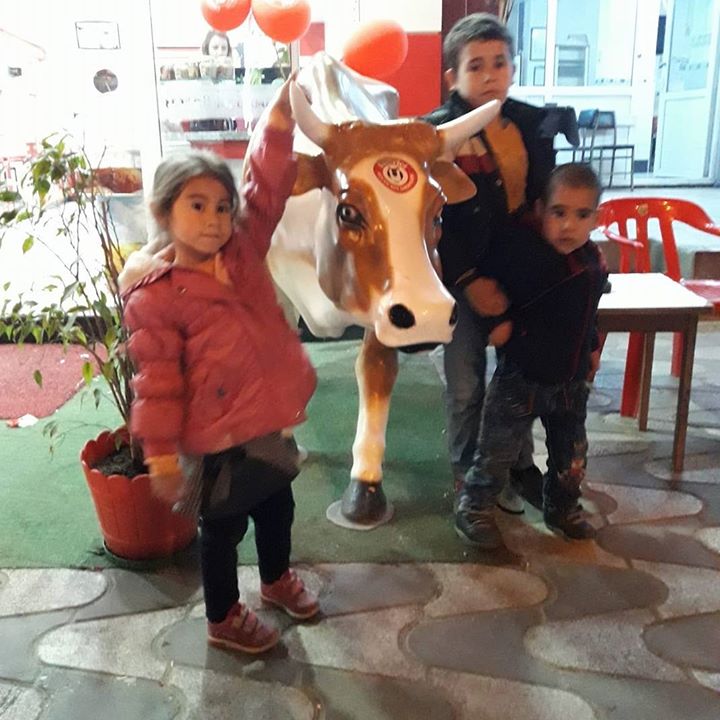 Umut