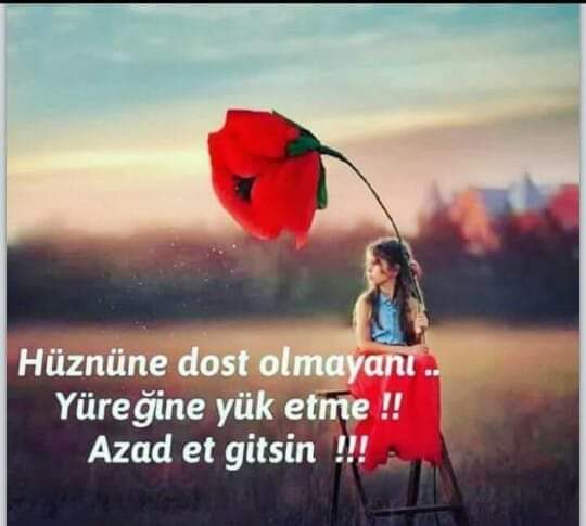 Sevda