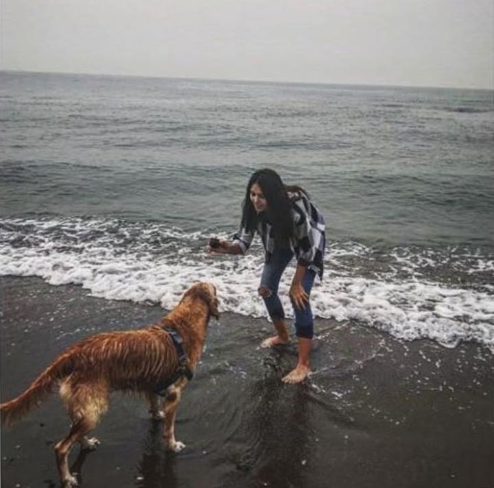 Burcu