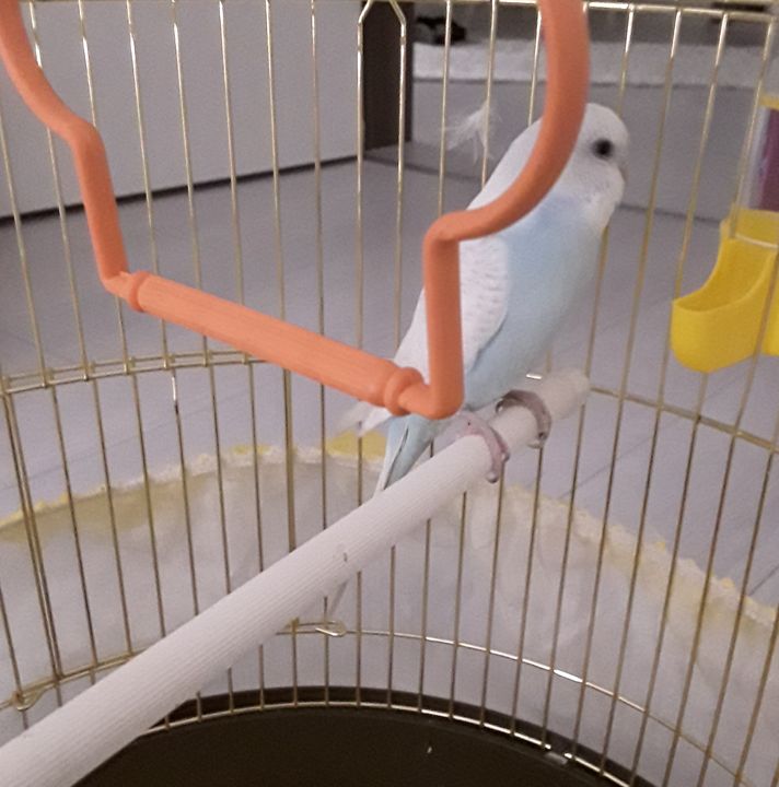 Furkan