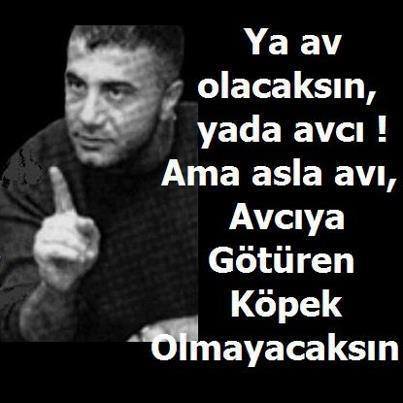 Aras