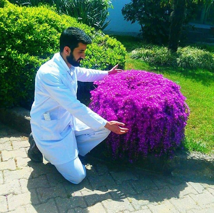 Mustafa