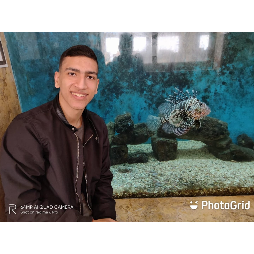 MoHaMED