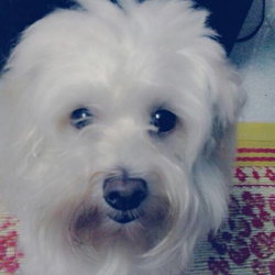 Nayoon