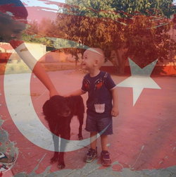 Tamer