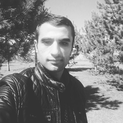 Arif
