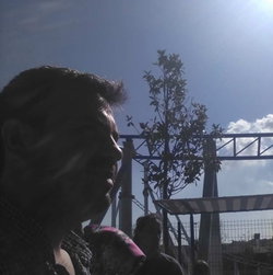 Mehmet