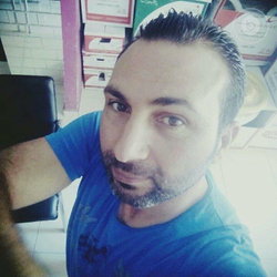 Şahin
