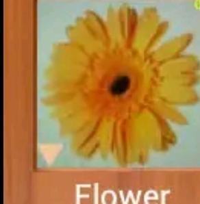 Sefer