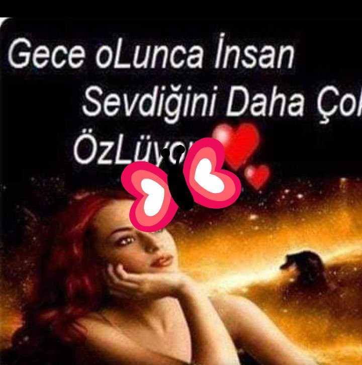 Ayse