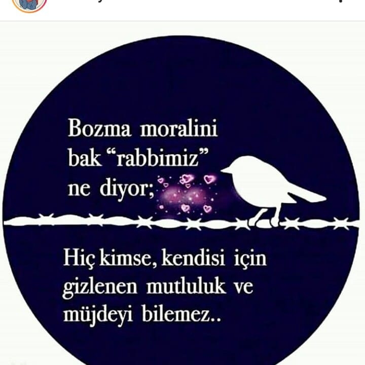 Nazlı