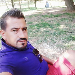 M Zeki