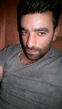 Şahin