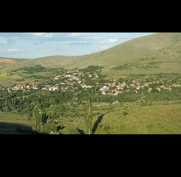 Ziyafet