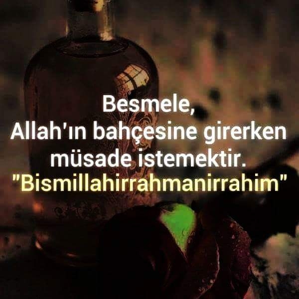 Senem