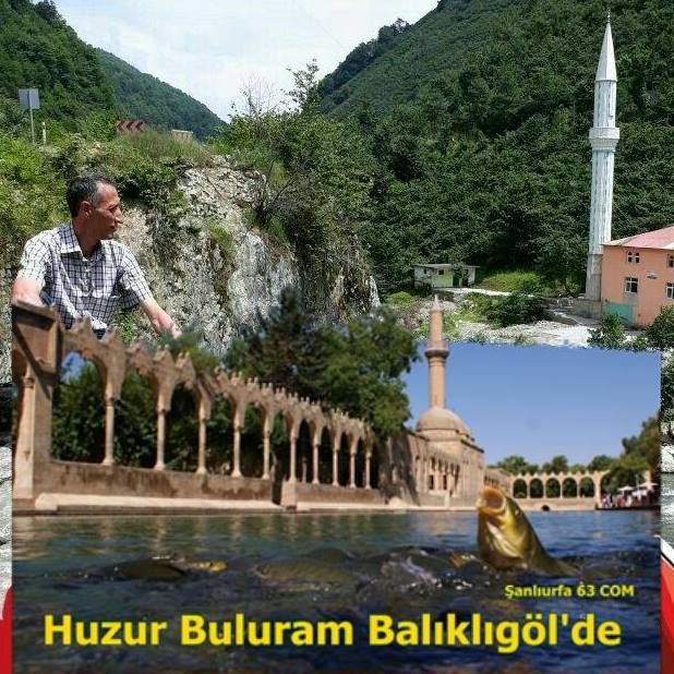 Murat