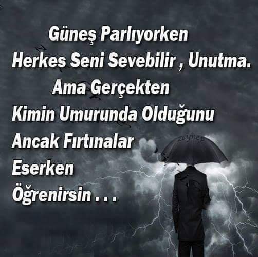 Ayse