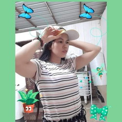 Roida