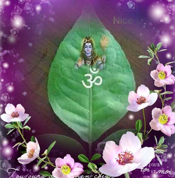 Chandvir