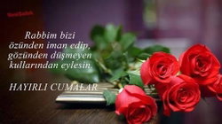 Aynur