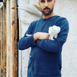 Hamit