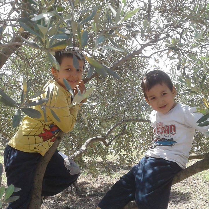 Rabia