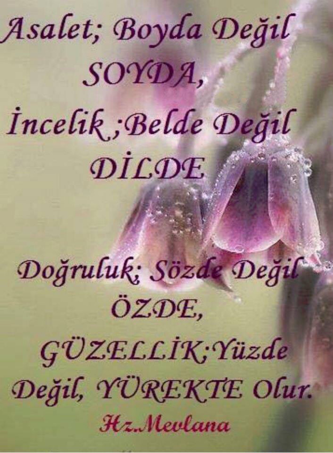 Mujgankorkmaz