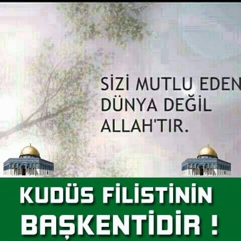 Sebepsiz