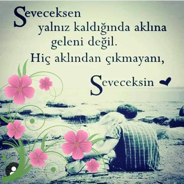 Sibel