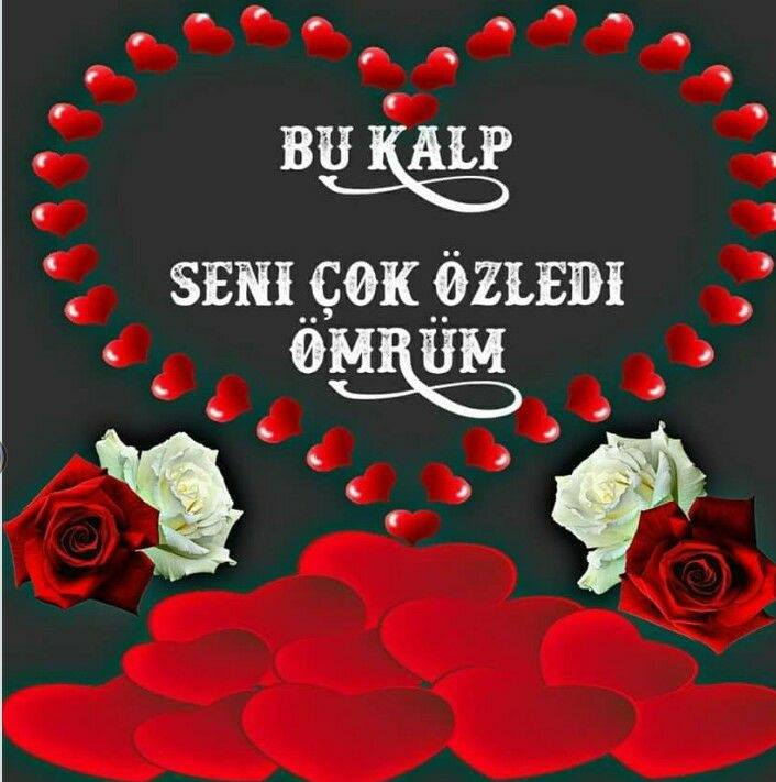 Meleksedat