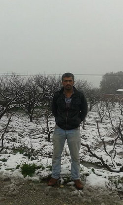 Halil