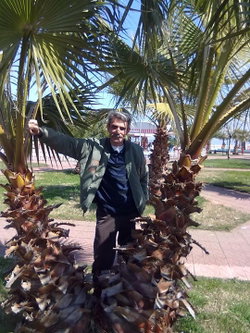 Ismail