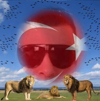 Elvan