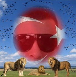 Elvan