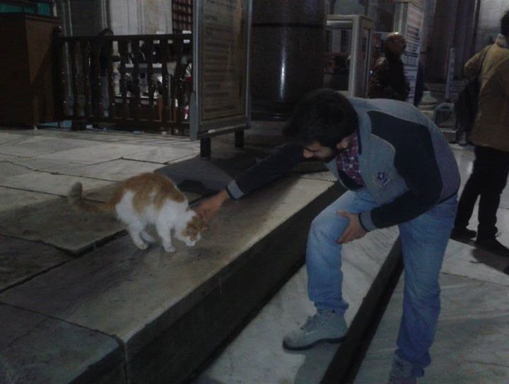 Arif