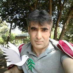 Barıs