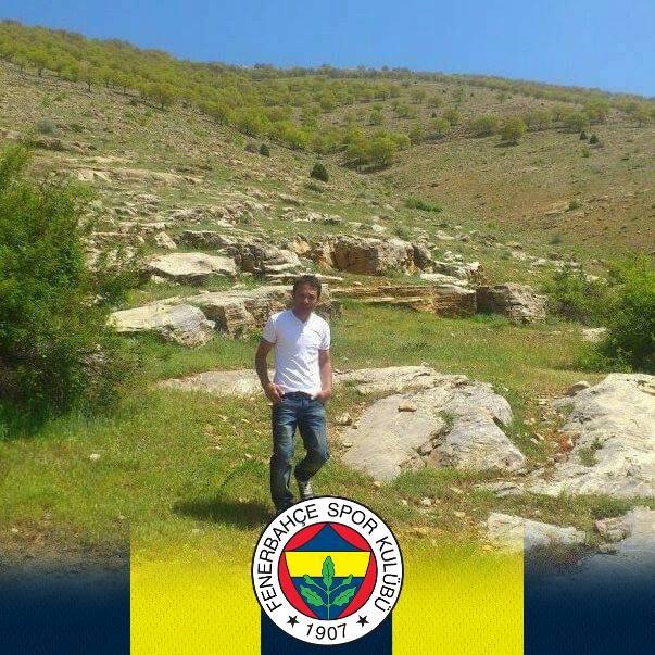 Şahin