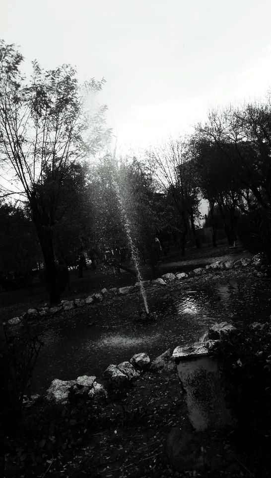 Yaşam
