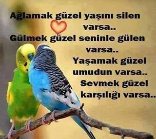 Hicran