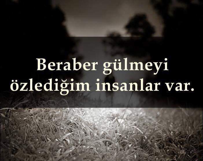 Dicle