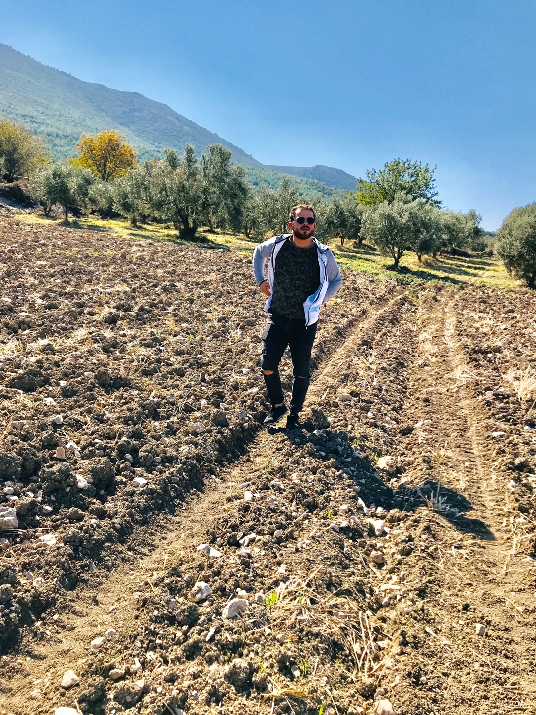 Aydoğan
