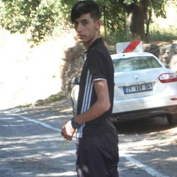 Doğan