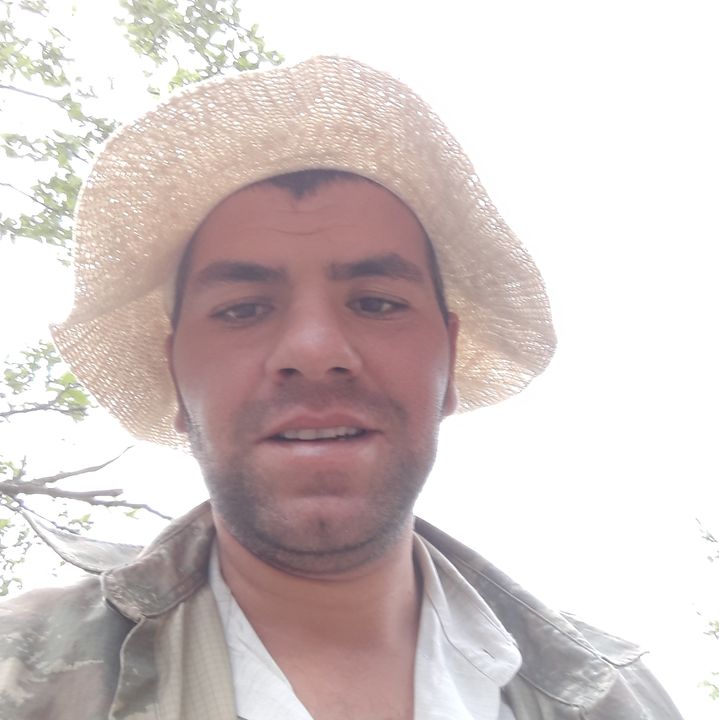 Olcay