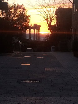 Raşit