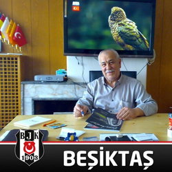 Bayram