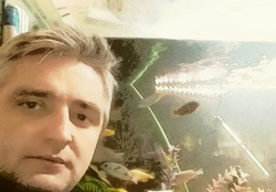 Remzi